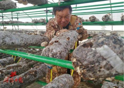 娱乐生活 第27页